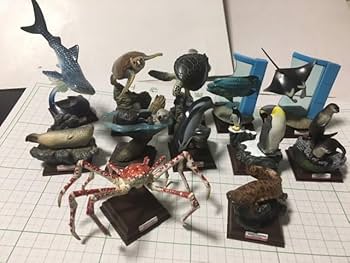 Amazon.co.jp: 海遊館 ミュージアム ネイチャーテクニカラー